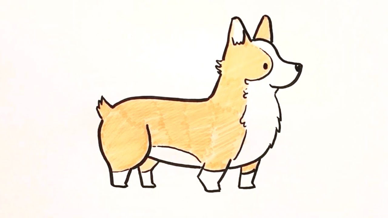 How To Draw A Corgi Step By Step - YouTube