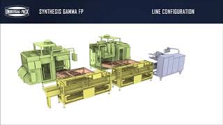 Synthesis Gamma Fp - Sachet In Flow Pack Line For Seasoning Powders