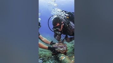 Hai tuyến cáp quang biển quốc tế đang gặp sự cố, khiến tốc độ internet Việt Nam bị chậm