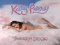 The One That Got Away - Katy Perry