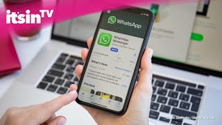 WhatsApp: Bald auf mehreren Geräten gleichzeitig nutzbar?