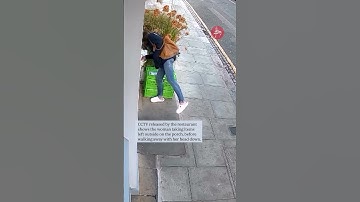 Moment woman steals £300 of langoustines from Michelin-starred restaurant