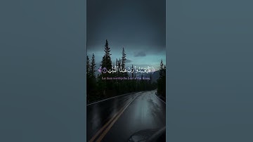 تلاوة هادئة ❤️سورة قريش #quran #تلاوة_خاشعة #القرآن_الكريم