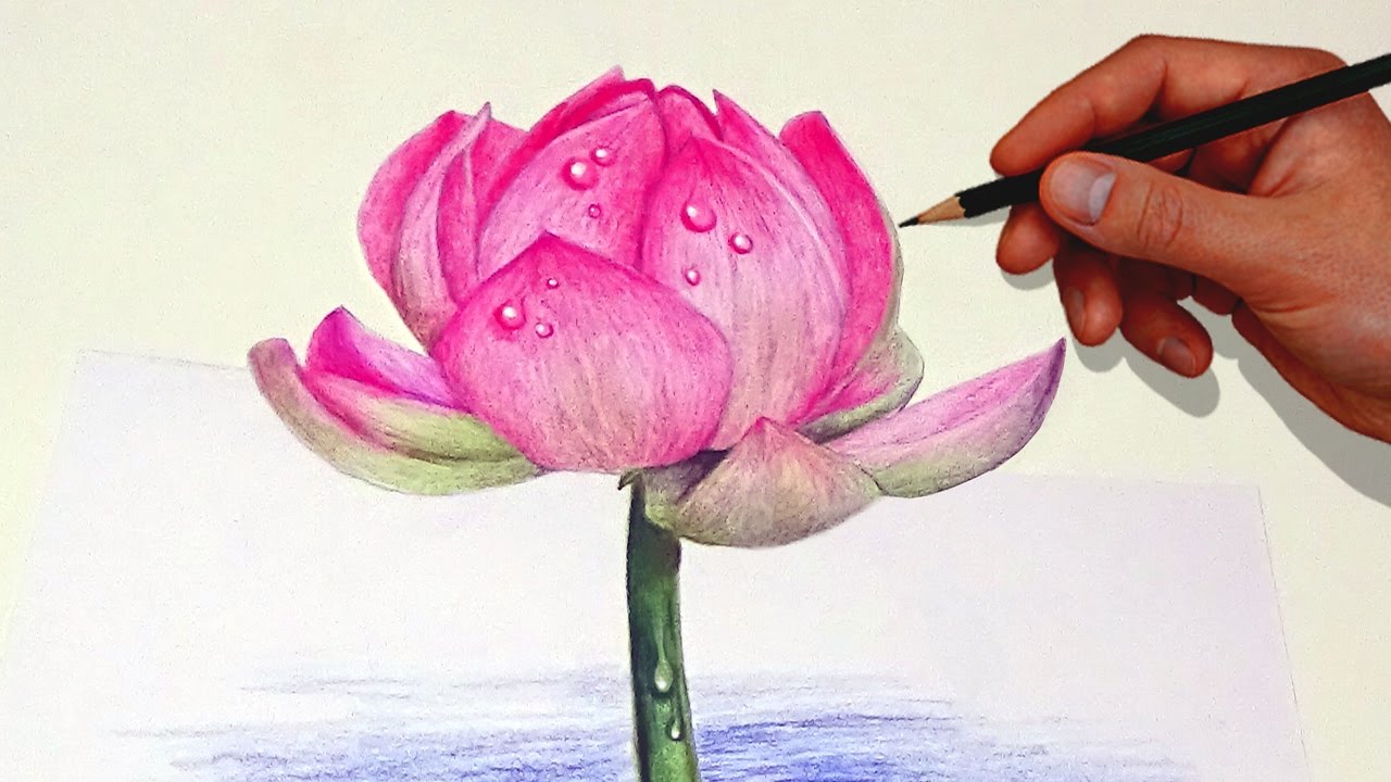 Drawing A Lotus Flower With Simple Colored Pencils | - YouTube