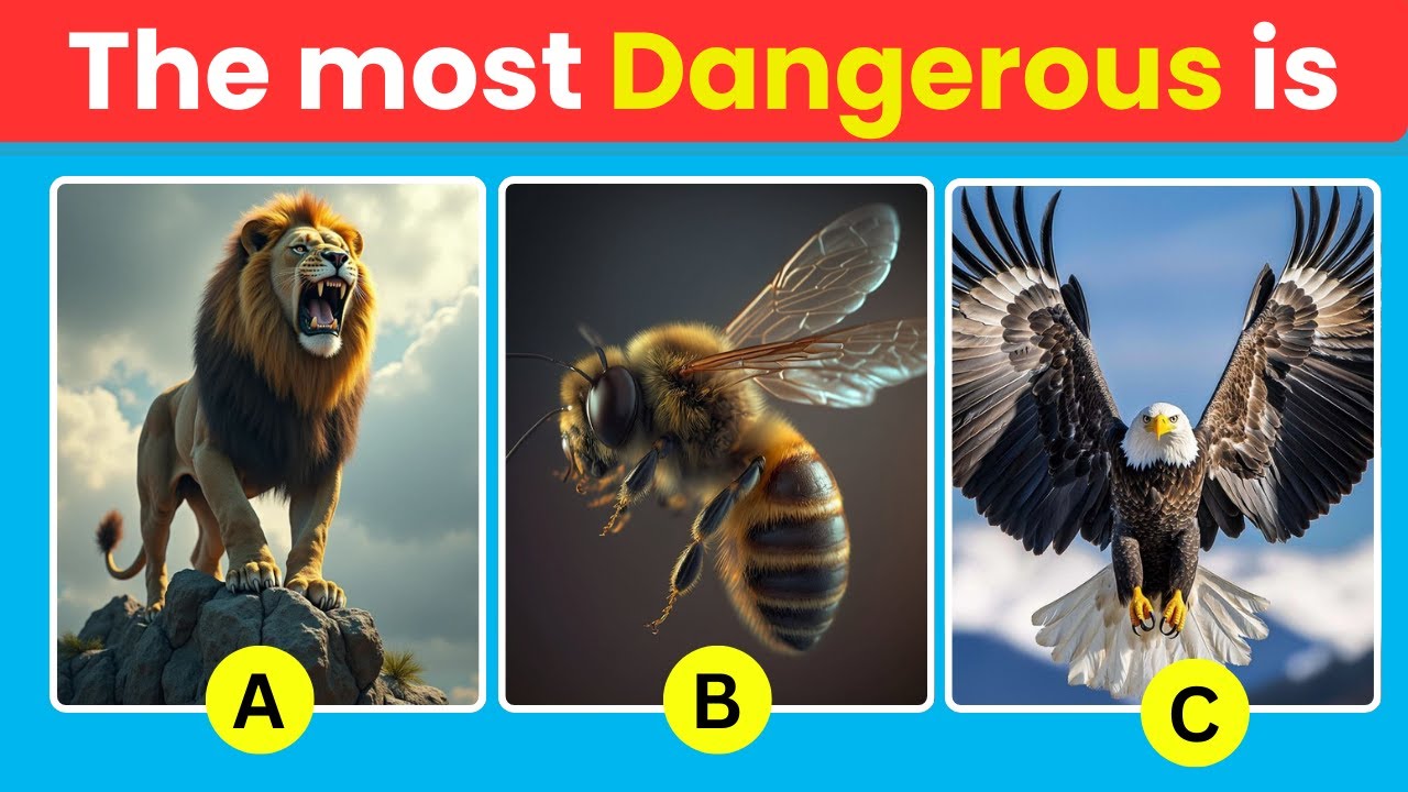 How Good Is Your Knowledge of ANIMALS? 🦁🐘 | 50 Animals Knowledge Bali cartoon