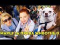 ЦИРК — БЕЗ ЖИВОТНЫХ! 🦁 ДЕЛЬФИНАМ – МОРЕ! МАРШ ЗА ПРАВА ЖИВОТНЫХ КИЕВ 2019