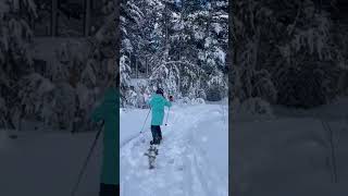 What a beautiful sight! #travel #mountain #ski #snbrd #snowboardtricks