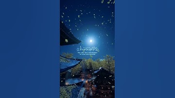 احمد العجمي:سورة الكافرون ahmed   ajmi surah Al-kafirun