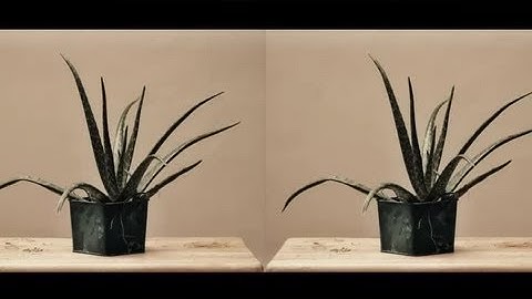 How to Make a Stereoscopic Image : Photography Tips