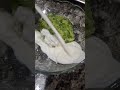 #trending #food #shortvideo #viralshort