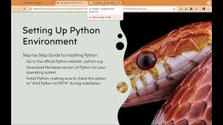 Celebrity Introduction to Python Programming in Odia | ପାଇଥନ୍ ପ୍ରୋଗ୍ରାମିଙ୍ଗ ଶିଖନ୍ତୁ ଓଡ଼ିଆରେ Profile