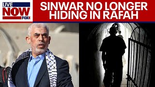 Israel-Hamas war: Sinwar not in Rafah, intel reveals, prior to Israeli operation | LiveNOW from FOX