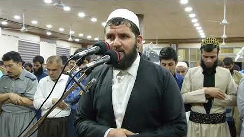 تلاوة هادئة وجميلة جدا من سورة المنافقون للقارئ دلشاد أحمد الكردي