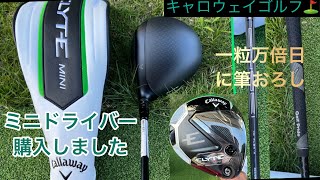 I bought a Callaway Golf 🏌️‍♂️ Elite Mini Driver 😁 and
