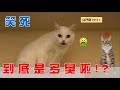 【豆鬥榮 EP21】笑死　到底是多臭啦！