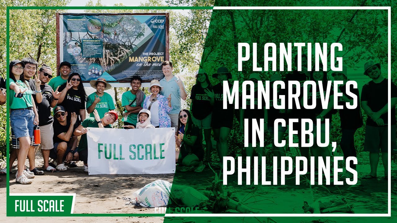 Planting mangroves in Cebu with Matt Watson