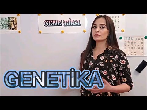 Genetika dersleri.Ders1 Genitika haqqında melumat.