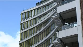 Tenants Help Create Bird-Friendly Windows At Harlem Condo