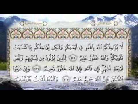 Surah Al Baqarah 219 to 232 - Syekh Mishary al-Afasy - YouTube