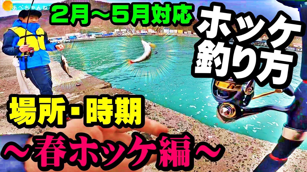【春ホッケの釣り方】北海道：場所・時期・初心者解説：保存版ホッケマニュアル