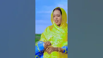 Kafeeyo Dhaanto Cusub Duet Wararkiiugudambeeyey Dhaanto Unfrezzmyaccount Dance Habesha Love 