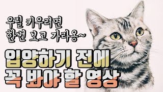 [ENG SUB] 어머니, 고양이를 댁으로 들이십시오 1탄