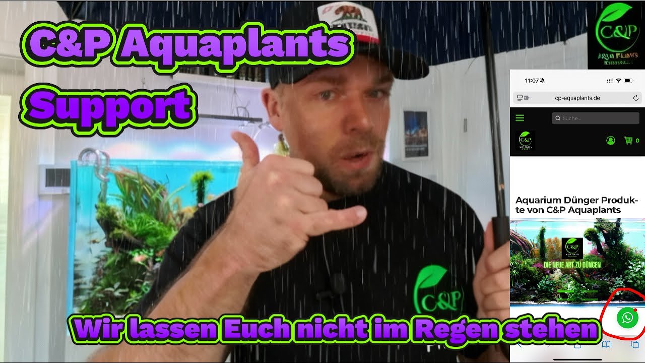 Tips und Tricks in der Aquaristik, richtig dngen