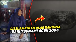 God's Power, Saved A GIANT SNAKE During the Aceh Tsunami, The Story of Umi Kalsum