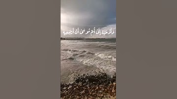 قرآن كريم بصوت الشيخ محمد صديق المنشاوي :حالات واتس دينية