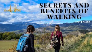 The benefits of walking for thirty minutes a day    part 4   2021