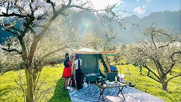 #Familycamping 02 - Cắm trại qua đêm dưới tán hoa mận tại thung lũng mận Nà Ka- Mộc Châu