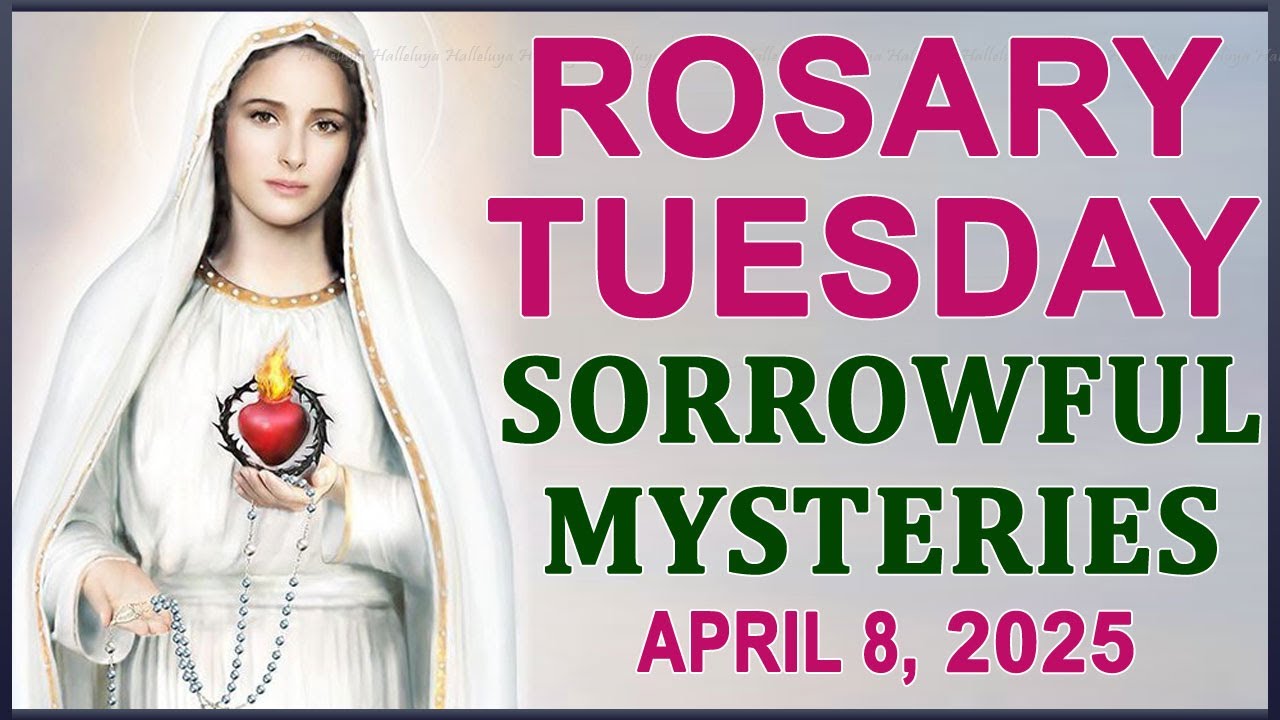 The Rosary Today I Tuesday I April 8 2025 I The Holy Rosary I Sorrowful  Mysteries