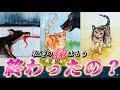 【⚠️深すぎ注意】このままサヨナラ?信じる?あの人との縁はもう終わったのかを視ます✨運命を感じるあの人の気持ち❤️復縁 連絡待ち 細密透視タロット 個人鑑定級✨