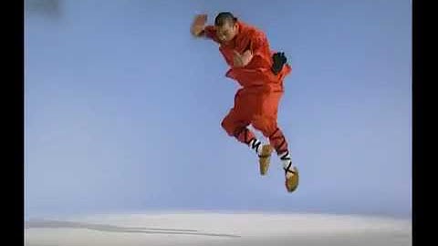 Shaolin kung fu leopard