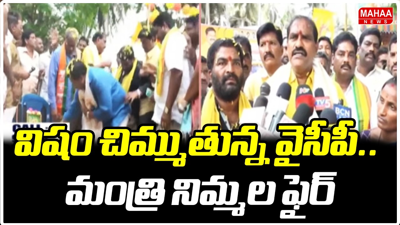 విషం చిమ్ముతున్న వైసీపీ.. మంత్రి నిమ్మల ఫైర్ | Minister Nimmala Ramanayudu Fires On YCP | Mahaa News