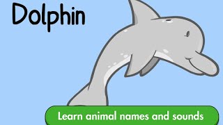 Animal Shape Builder - Jigsaw Puzzles - A Fun And Educational Animal Puzzle Game For Preschool Kids