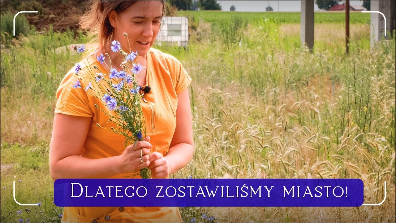 Zwyczajny Lipcowy Dzień w Naszym Starym Domu na Wsi - VLOG 🍒☀️🪻