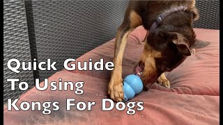 Quick Guide To Using Kongs for Dogs