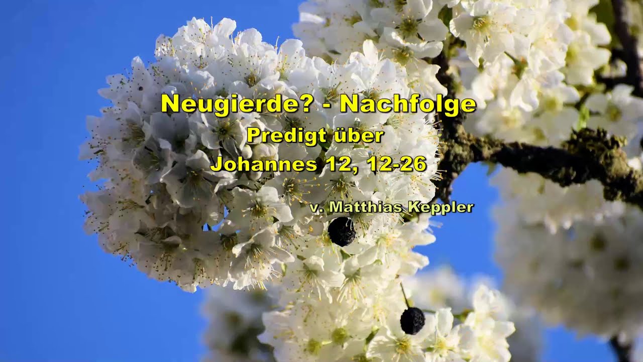 Neugierde? - Nachfolge