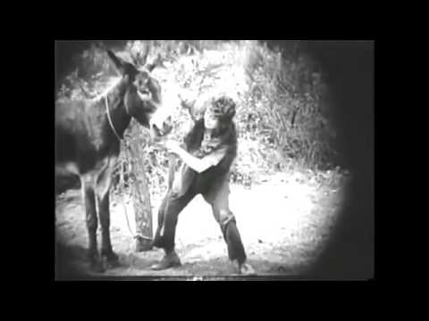 Watch Amarilly Of Clothes-Line Alley Youtube