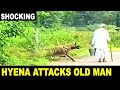 SHOCKING: Hyena attacks old man near forest in India