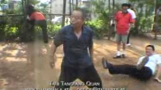Download Lagu Taiji Tanglang Quan MP3