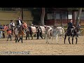 Palermo  spettacolo equestre 2023