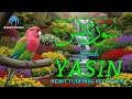 ❤️ HEART TOUCHING RECITATION OF SURAH YASEEN 💖 | سُوۡرَةُ﻿ يٰسٓ | BEAUTIFUL QURAN TILAWAH 2025.