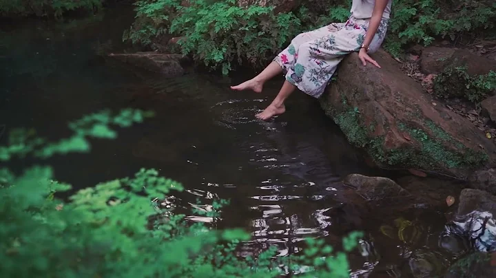 4055948 hd 1920 1080 25fps