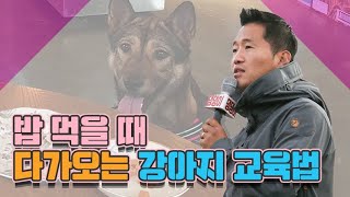 A dog's training who approaches when we eat! ｜ 2019 Dangdangi festival