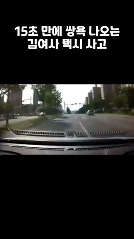 15초 만에 쌍욕 나오는 김여사 택시 사고