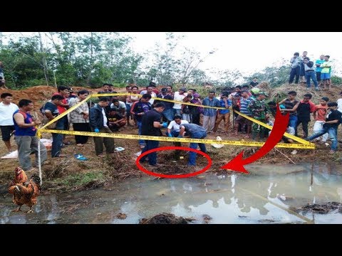 Usai Gempa Di Palu, Muncul Ini Dari Dalam Tanah, Hebohkan Warga !!