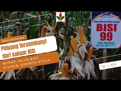 Murah, Rajin Bagi Dividen, dan Fundamental bagus | Analisa Fundamental Saham BISI