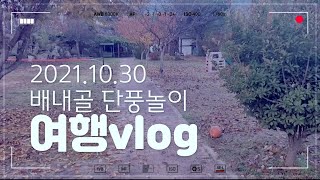 (여행vlog#4)친구, 가을 여행, 배내골, 단풍놀이, 산소리물소리 펜션, 바베큐파티, 10월의 마지막 밤